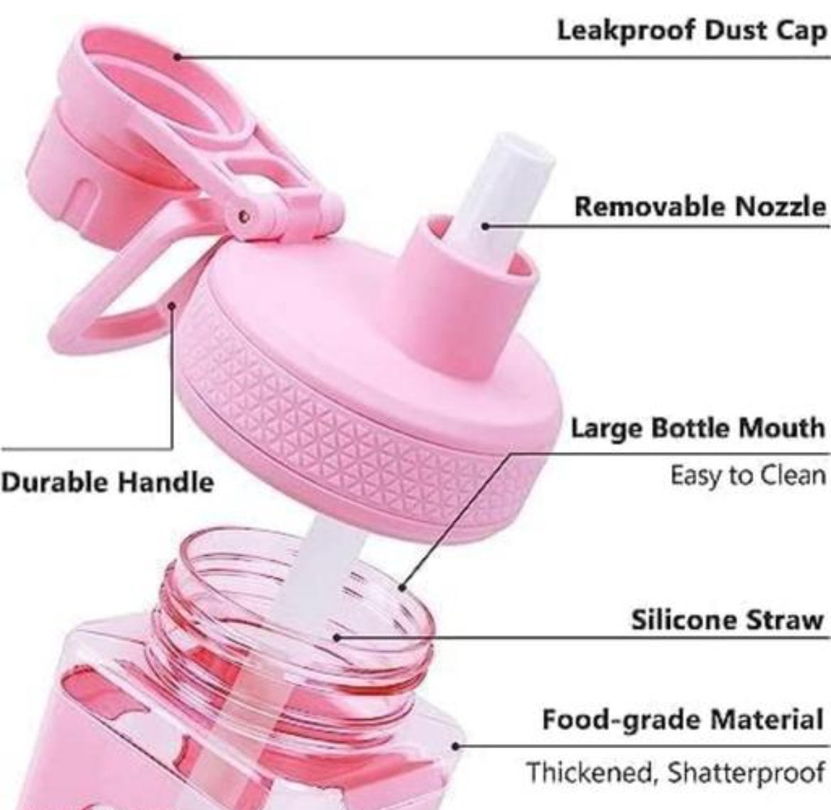 Kawaii Cute Water Bottle 700Ml | LoopLuxe